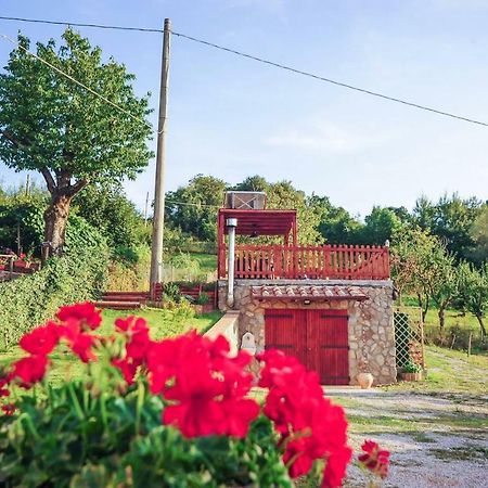 La Finestra Sul Castello Apartman Arcidosso Kültér fotó